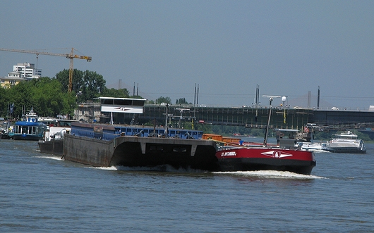 Koppelverband auf dem Rhein, Bonn